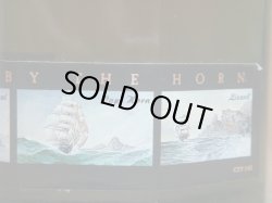 画像3: カティーサーク12年エメラルド 旧ボトル40度700ml正規品